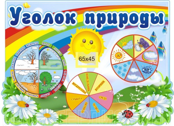 Календарь природы для детского сада