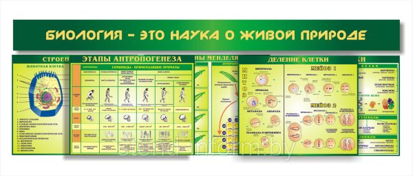 Стенды для кабинета биологии