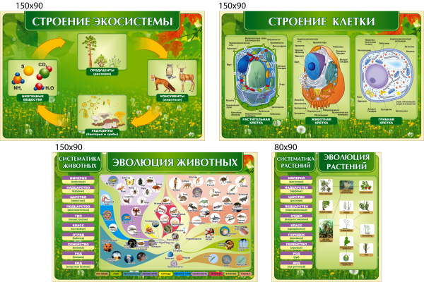 Стенды для кабинета биологии