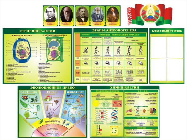 Плакаты для кабинета биологии