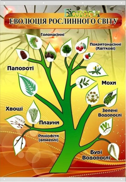 Плакаты для кабинета биологии