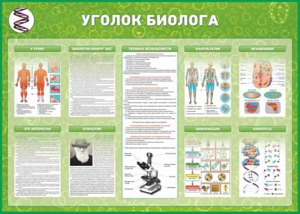 Плакаты для кабинета биологии