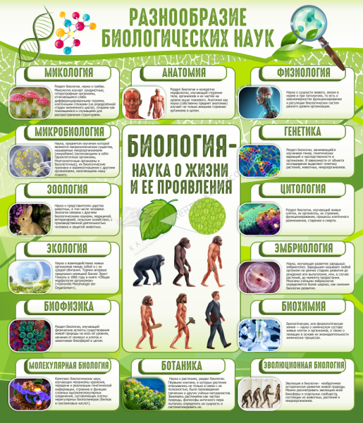 Стенды для кабинета химии