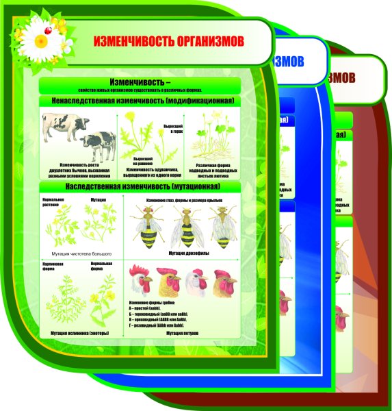 Плакаты для оформления кабинета биологии