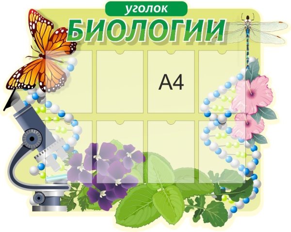Стенды для кабинета биологии