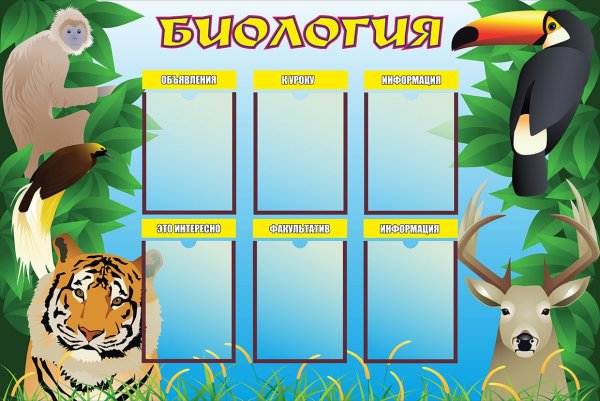 Стенды для кабинета биологии в школе