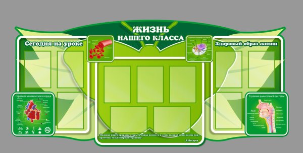 Оформление кабинета биологии материалы