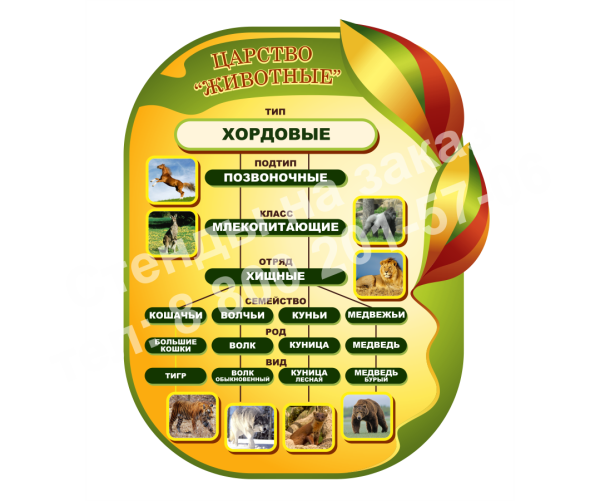 Стенды для кабинета биологии