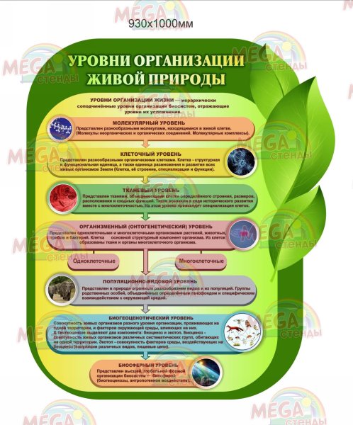 Комплект стендов для кабинета биологии