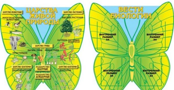 Строение растительной клетки стенд