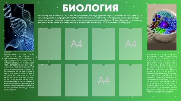 Эволюционное Древо царства растений