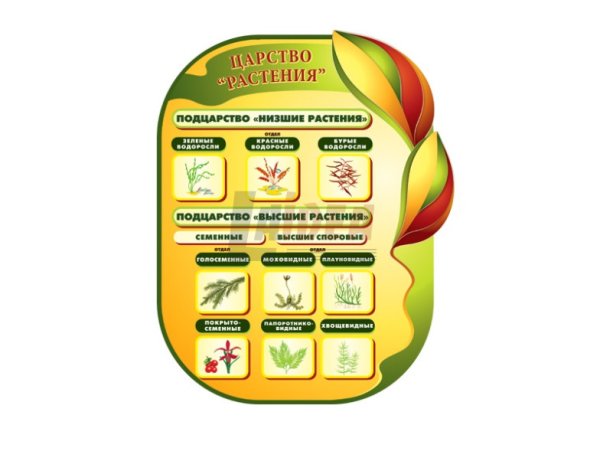 Плакаты для детей