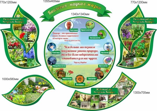 Стенды для кабинета биологии