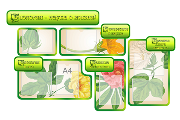 Стенды для кабинета биологии