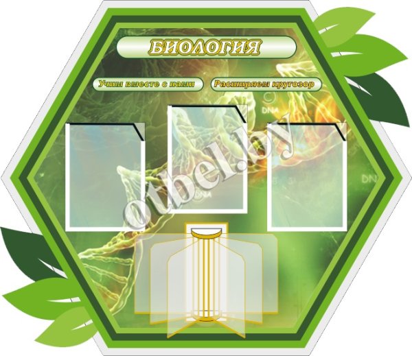 Баннер в кабинет биологии