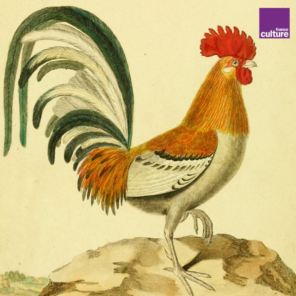 Символ года петух