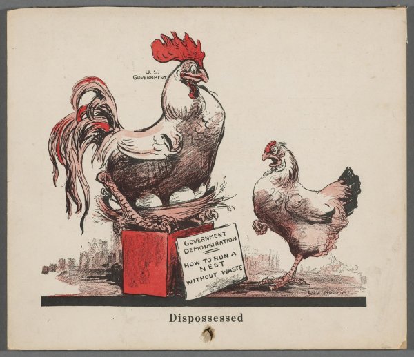 Пиво французское петушок