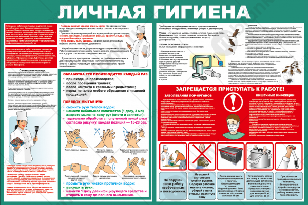 Правило ливней гигиены