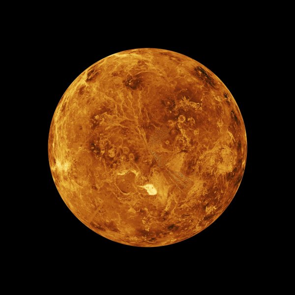 Venus structure