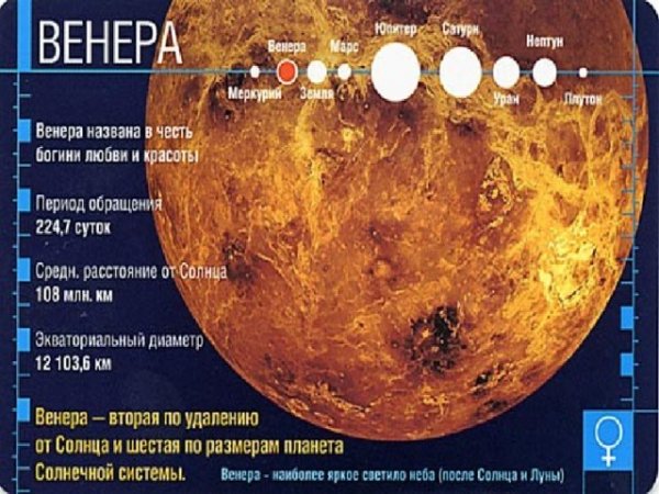 Venus Постер
