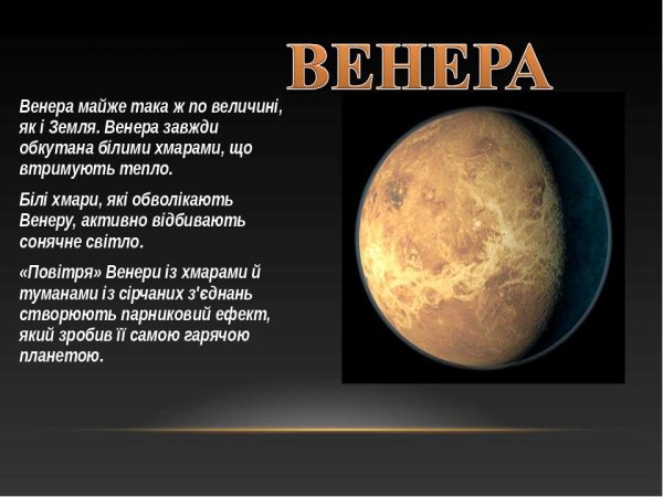 Постеры с Венерой арт