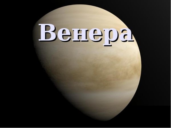 Черная Венера Постер