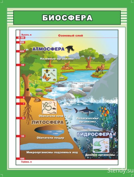 Постоянные ветры земли