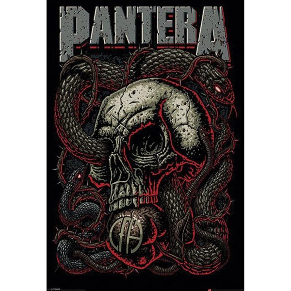 Pantera poster группа
