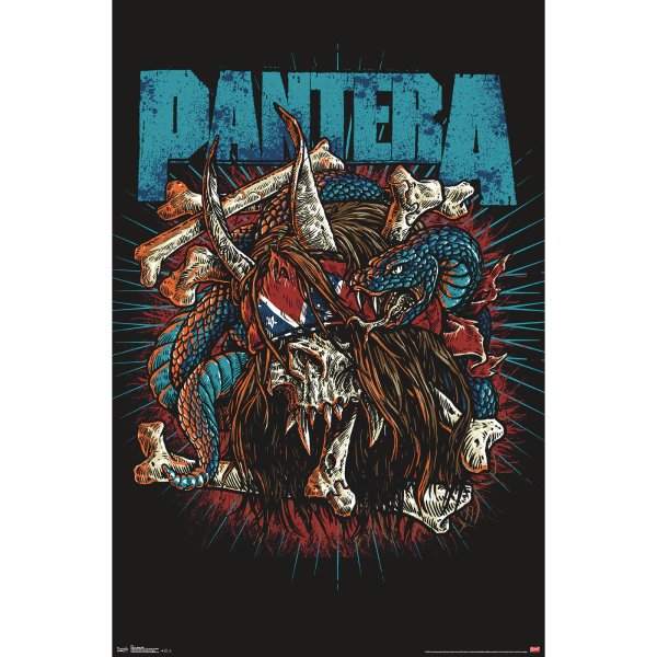 Пантера группа Постер