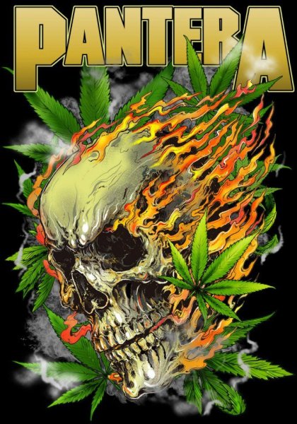 Pantera группа Art