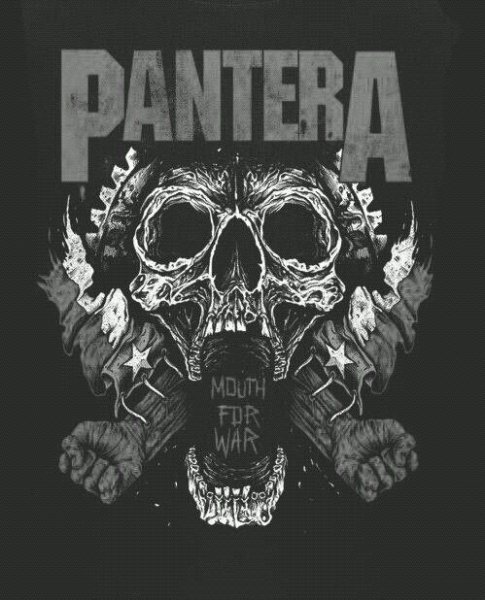 Pantera Band Постер