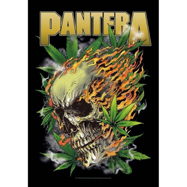 Pantera Постер