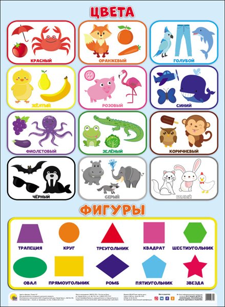 Азбука цвета для детского сада