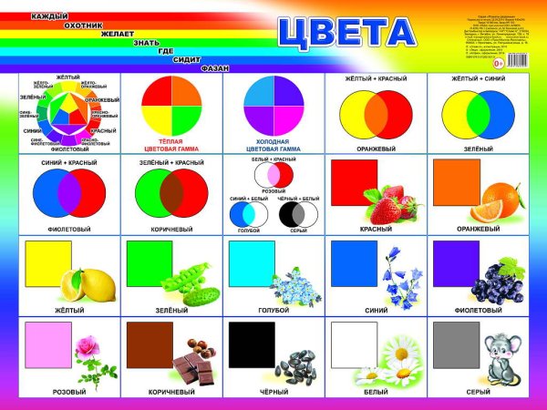 Цвет. Плакат