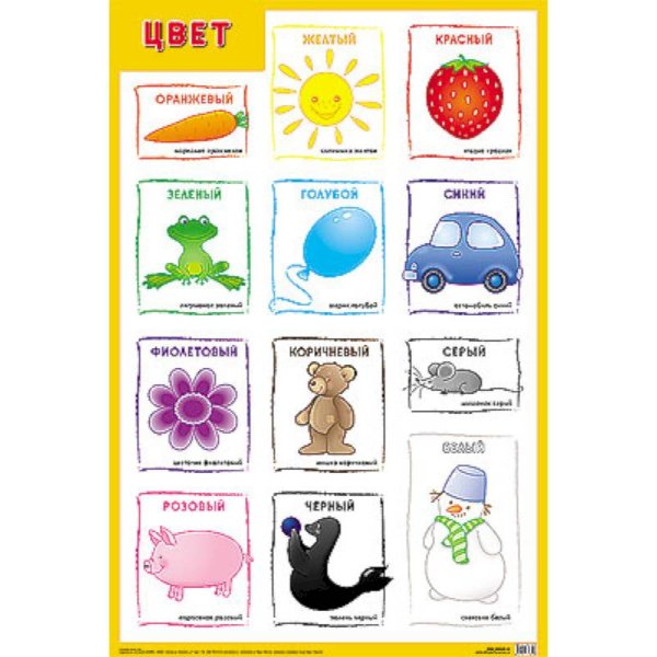 Цвет. Плакат