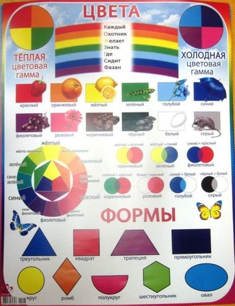 Плакат для изучения цветов
