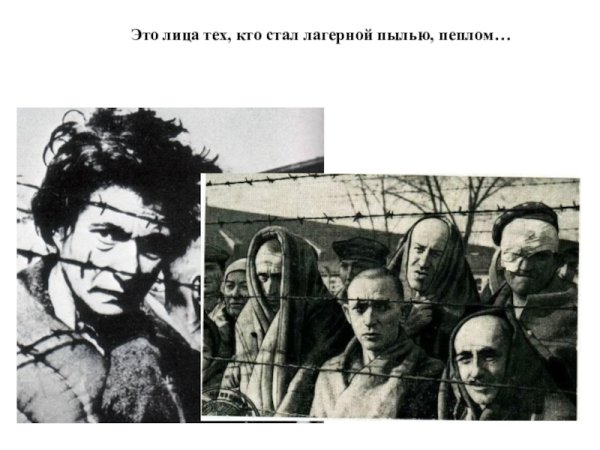 Жертвы Холокоста презентация