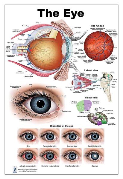 Глаз плакат