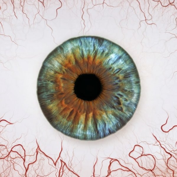 Глаз плакат