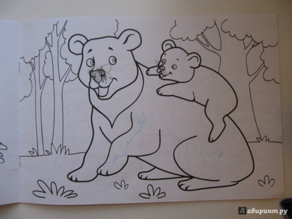 Рисунок берегите животных