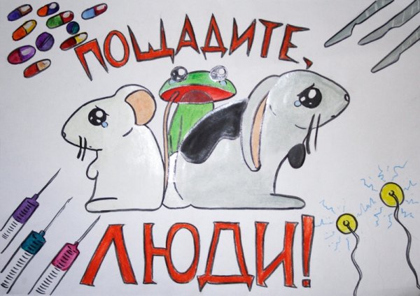 Раскраска день защиты животных