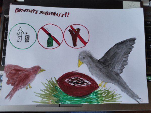 Плакат берегите животных