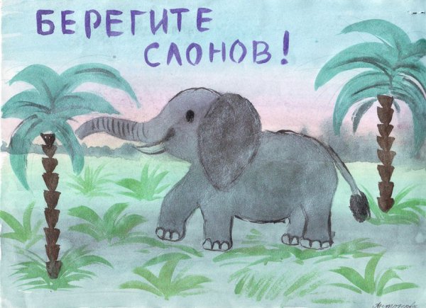 Плакат на тему защита животных