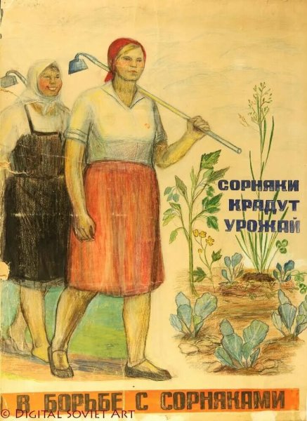 Плакат урожай