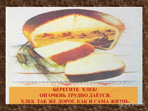 Берегите хлеб наше богатство