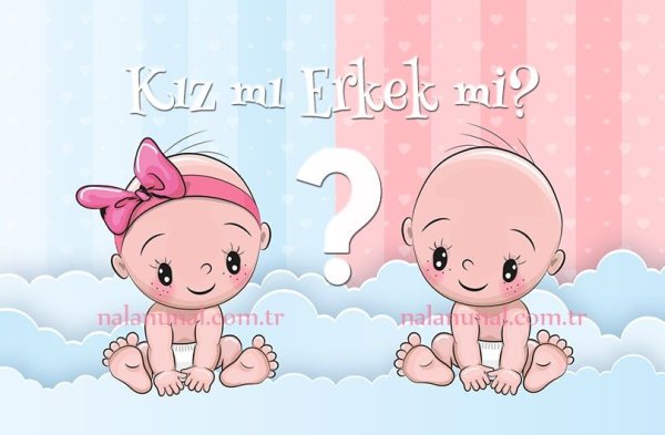 Мальчик или девочка надпись