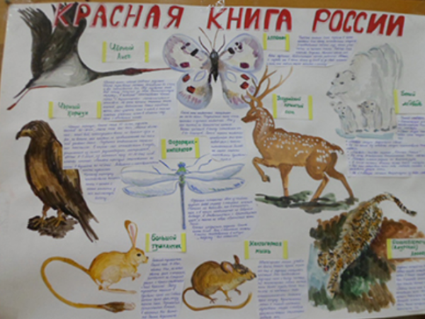 Плакат на тему красная книга России