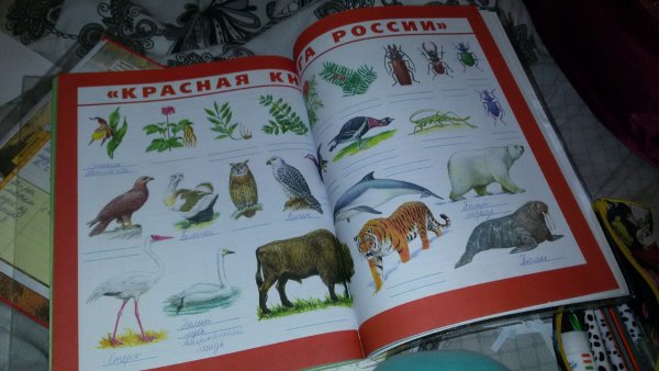 Красная книга России окружающий мир