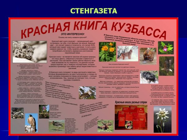 Красная книга растений Кузбасса Кузбасса