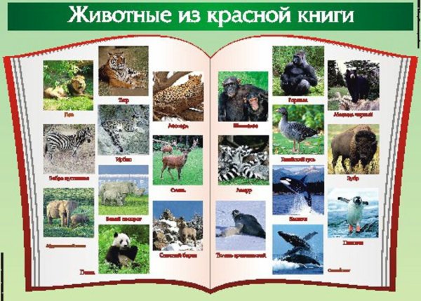 Животные красной книши